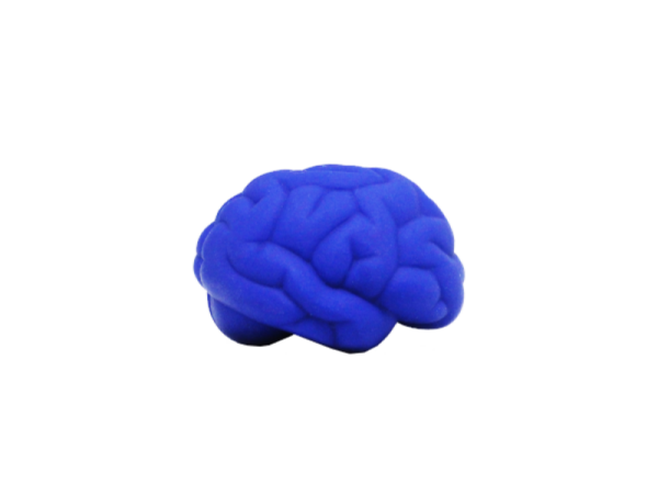 CEREBRO ANTI STRESS